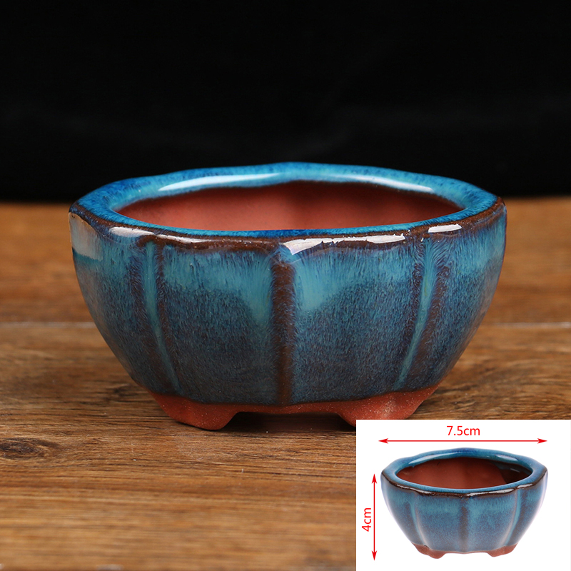 1szt Bonsai Mini Ceramiczna Do – Echeveria Succulent recenzja i cena